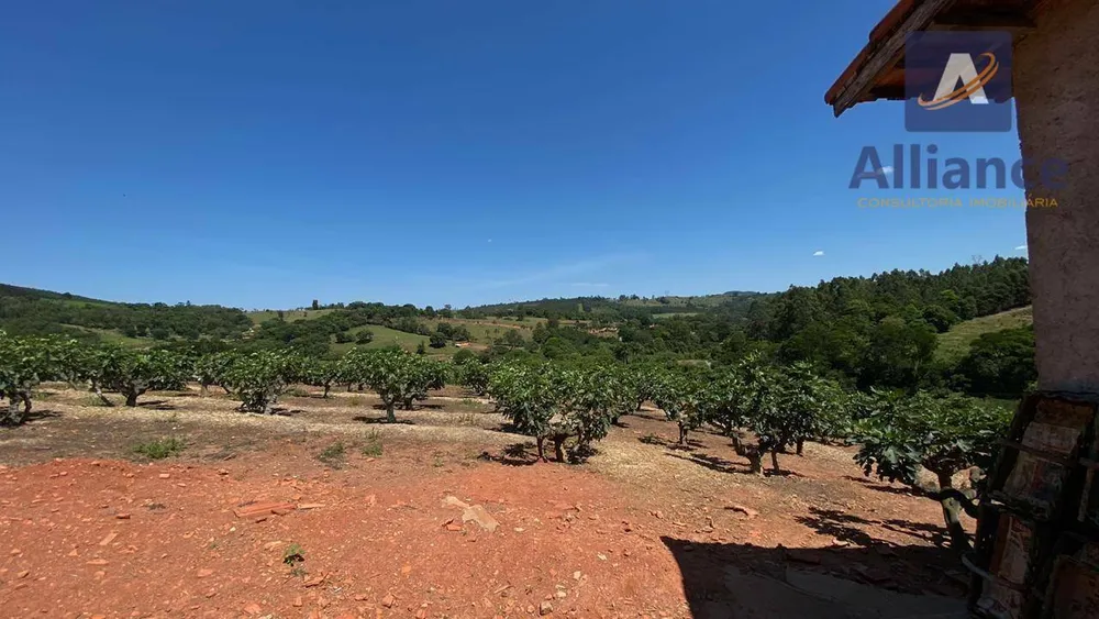 Sítio, 6 hectares - Foto 16
