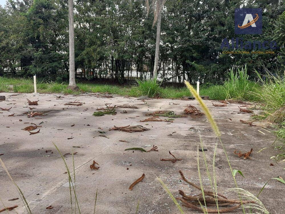 Terreno, 2 hectares - Foto 3