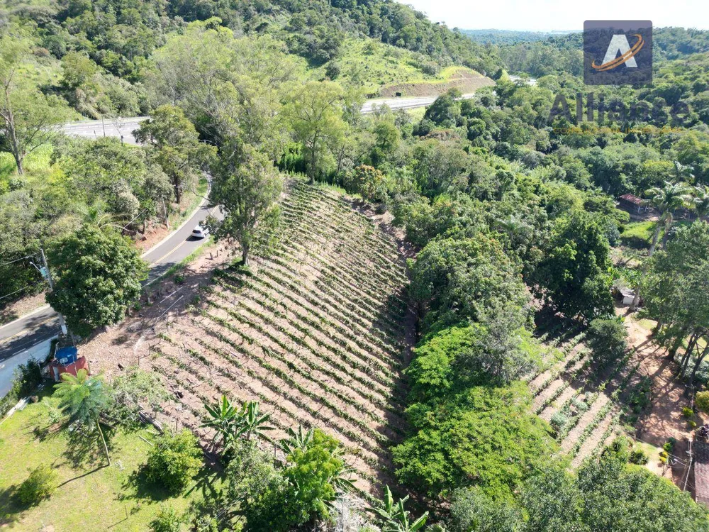 Terreno, 3 hectares - Foto 3