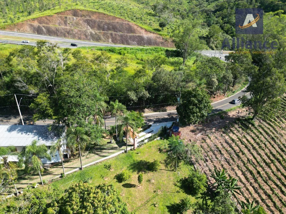 Terreno, 3 hectares - Foto 4