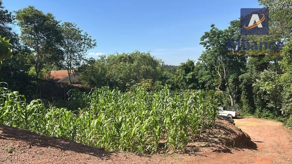 Chácara, 1013 m² - Foto 2