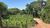 Terreno, 1013 m² - Foto 3