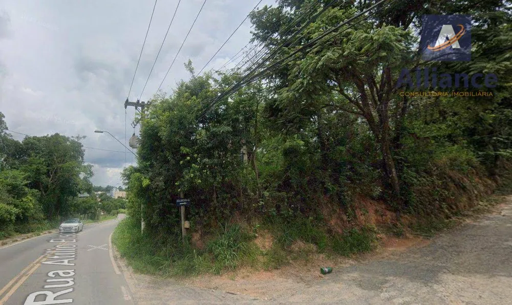 Terreno, 2 hectares - Foto 6