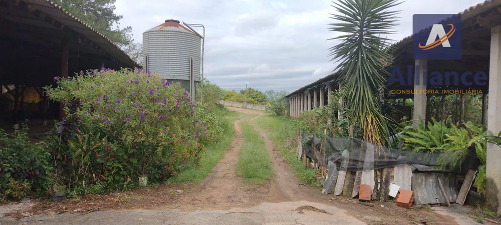 Terreno, 2 hectares - Foto 3