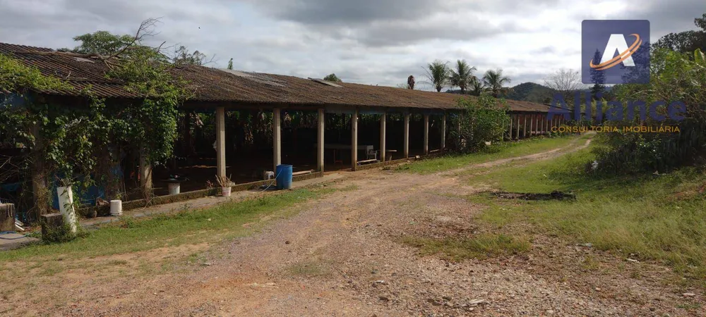Terreno, 2 hectares - Foto 8