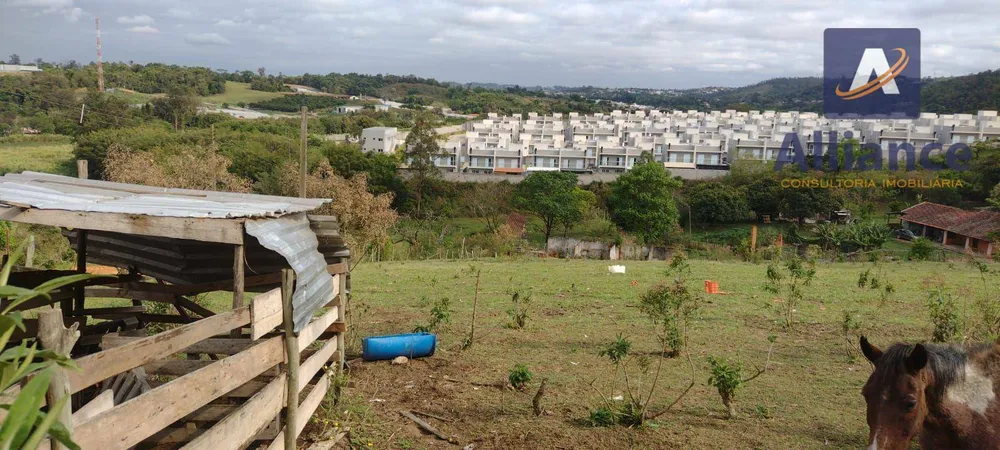 Terreno, 2 hectares - Foto 6