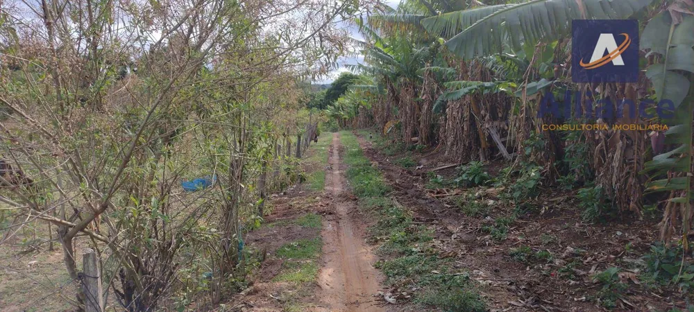 Terreno, 2 hectares - Foto 7