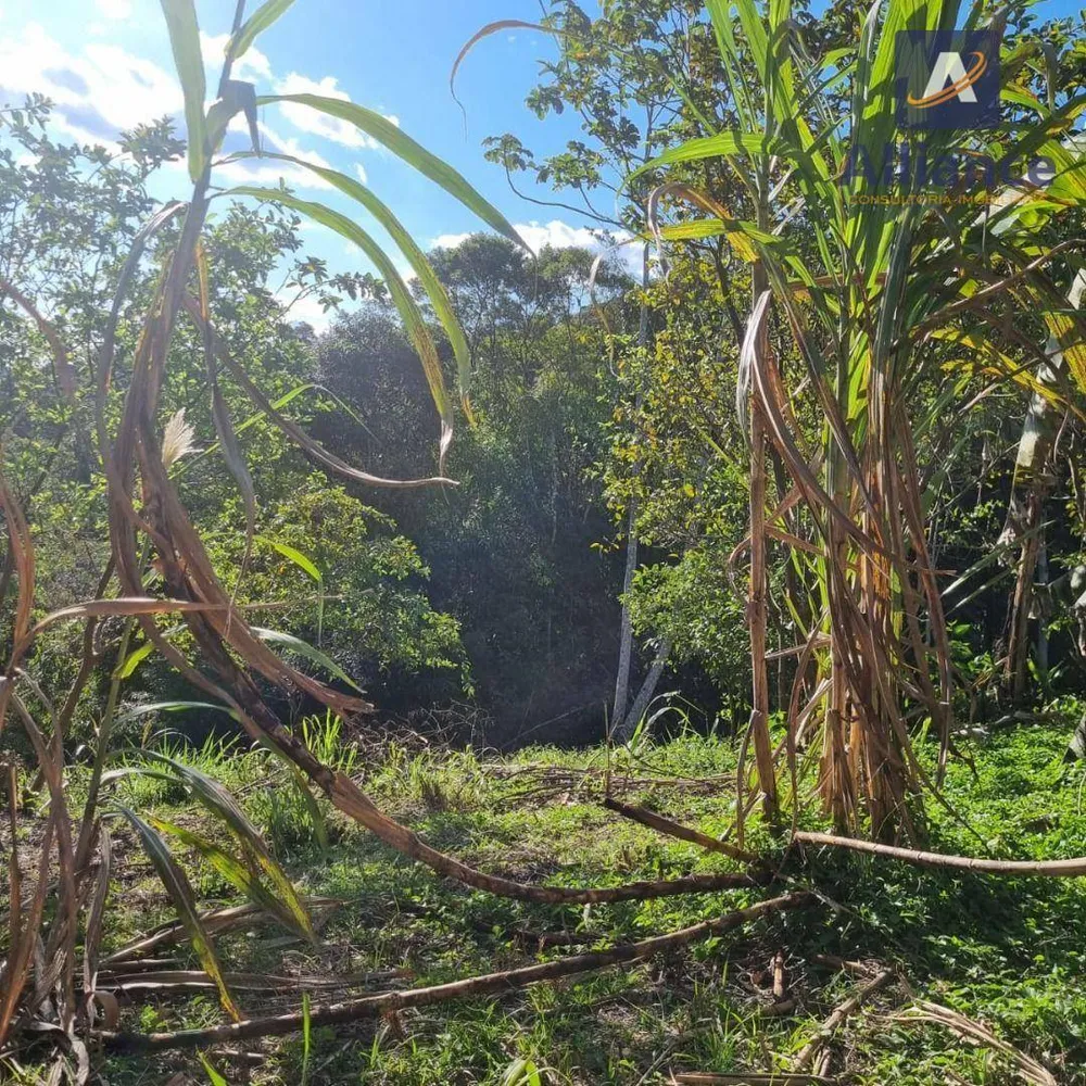 Sítio, 1 quarto, 2 hectares - Foto 7