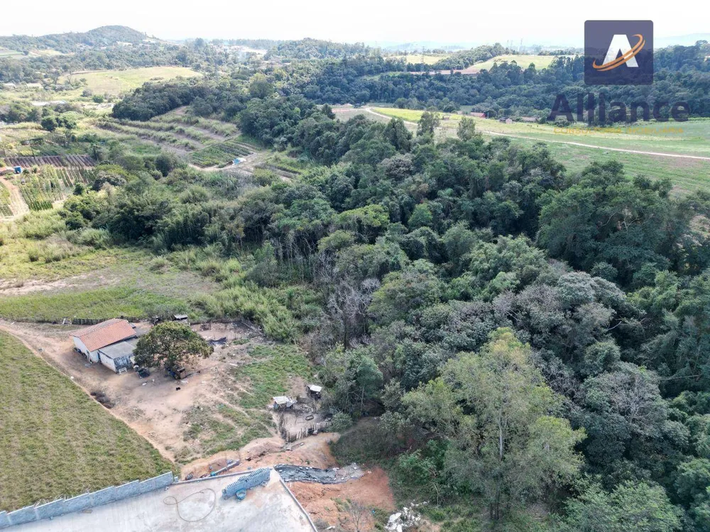 Terreno, 4 hectares - Foto 3