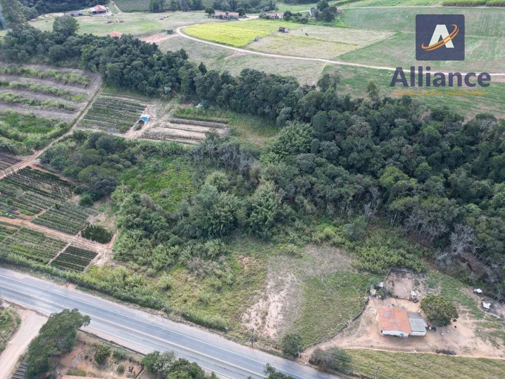 Terreno, 4 hectares - Foto 2