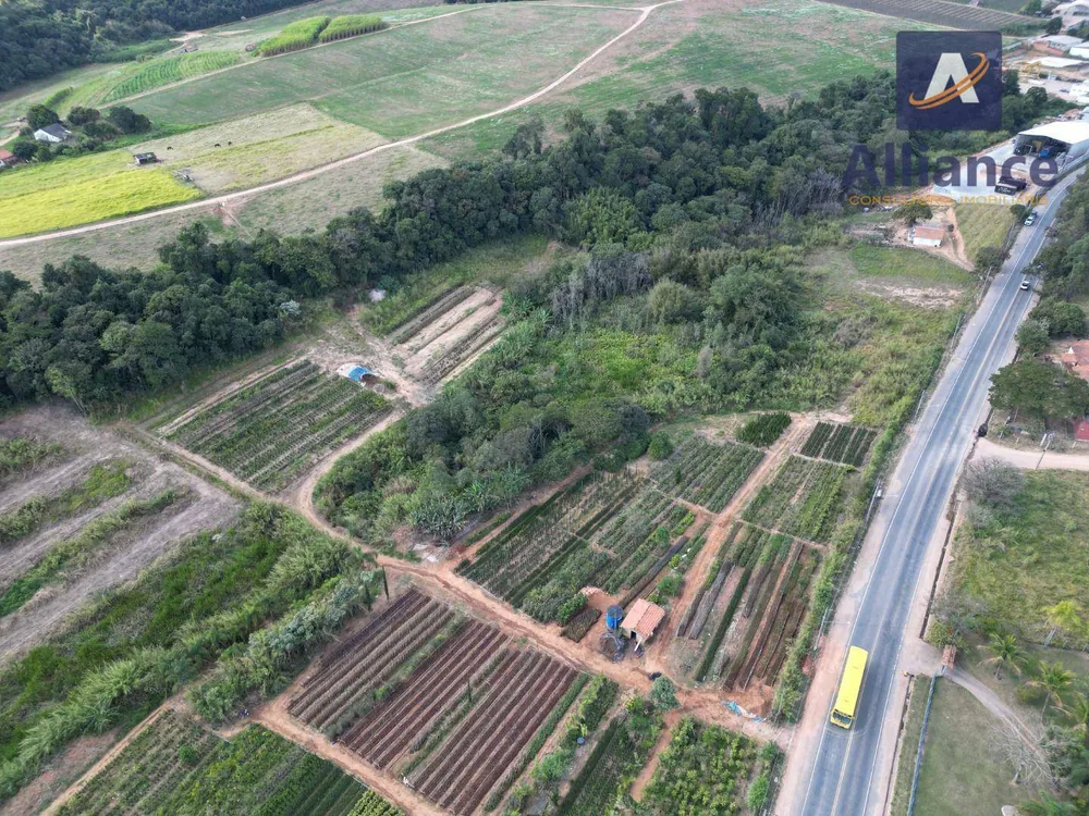 Terreno, 4 hectares - Foto 6