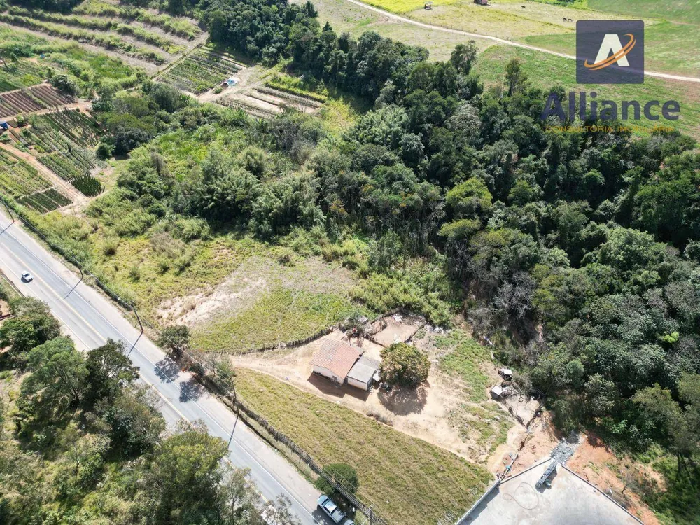 Terreno, 4 hectares - Foto 11