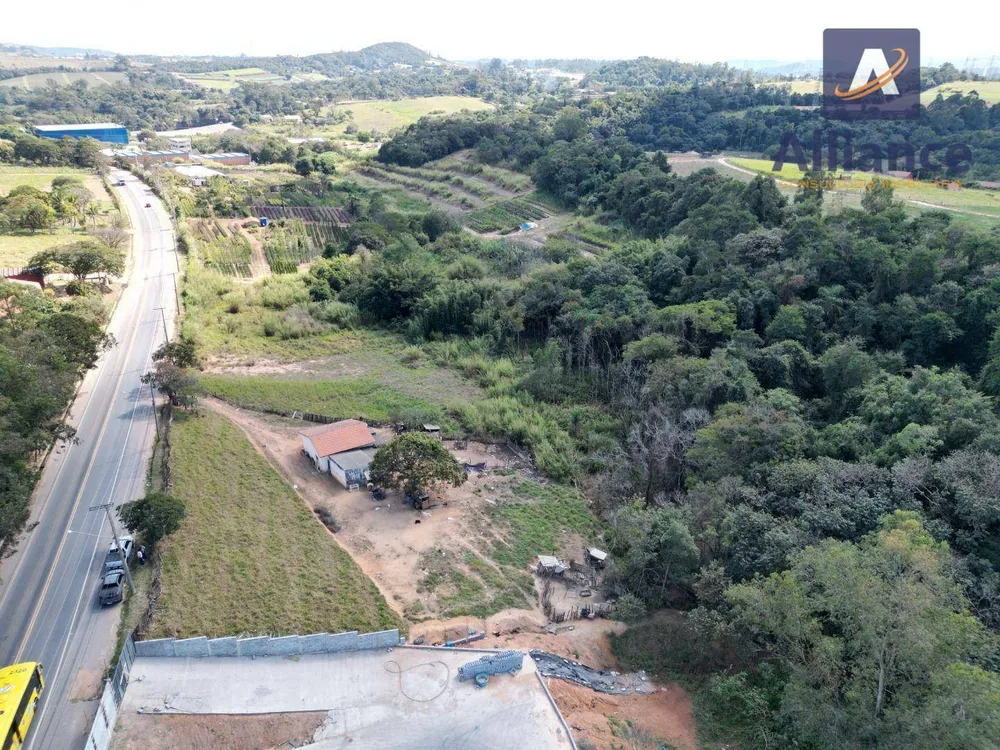 Terreno, 4 hectares - Foto 4