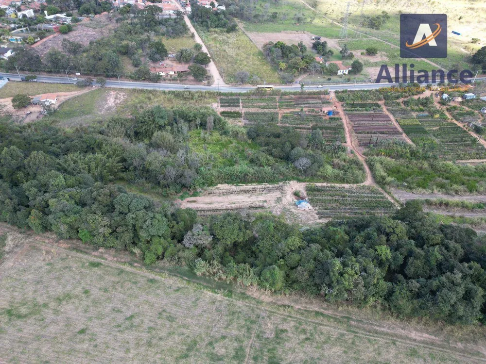 Terreno, 4 hectares - Foto 9