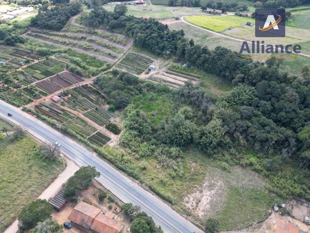 Terreno, 4 hectares - Foto 8