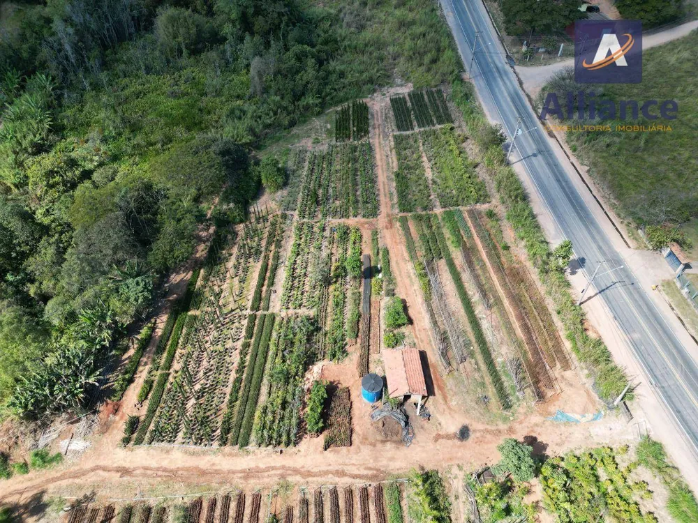 Terreno, 4 hectares - Foto 12