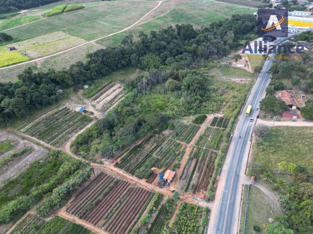 Terreno, 4 hectares - Foto 10