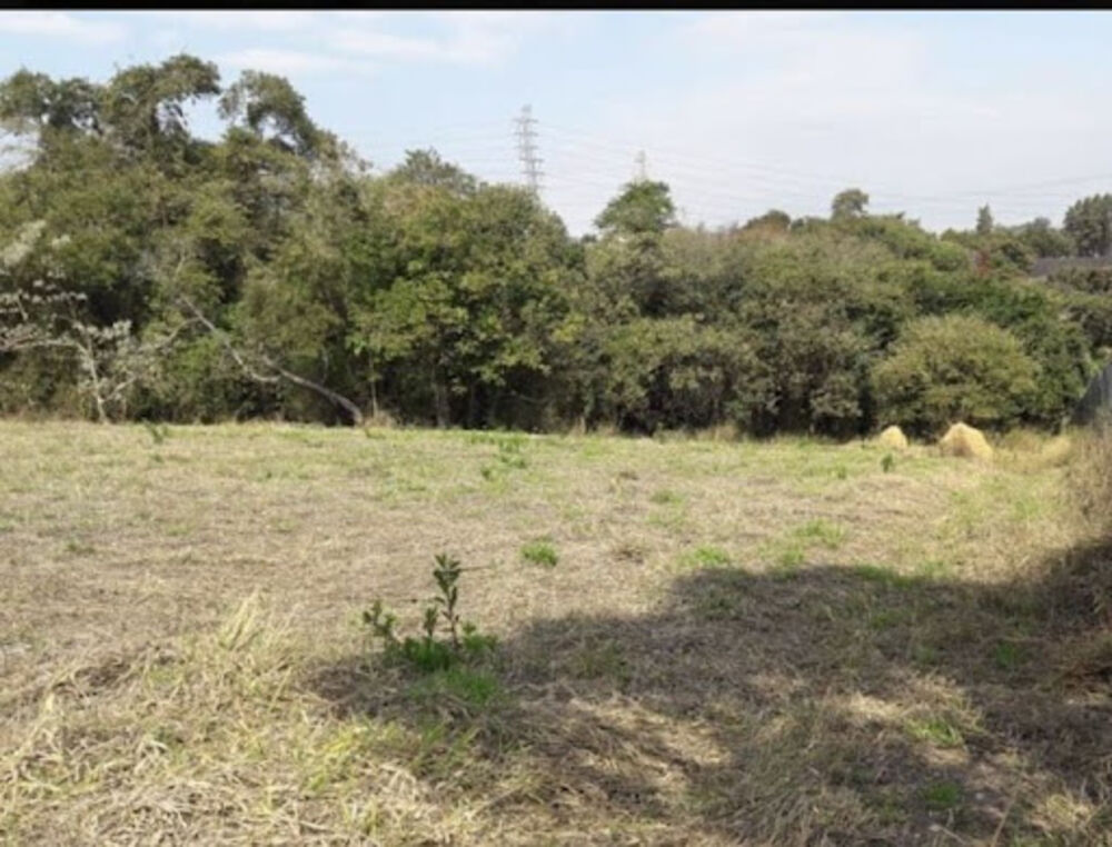 Terreno, 5000 m² - Foto 5