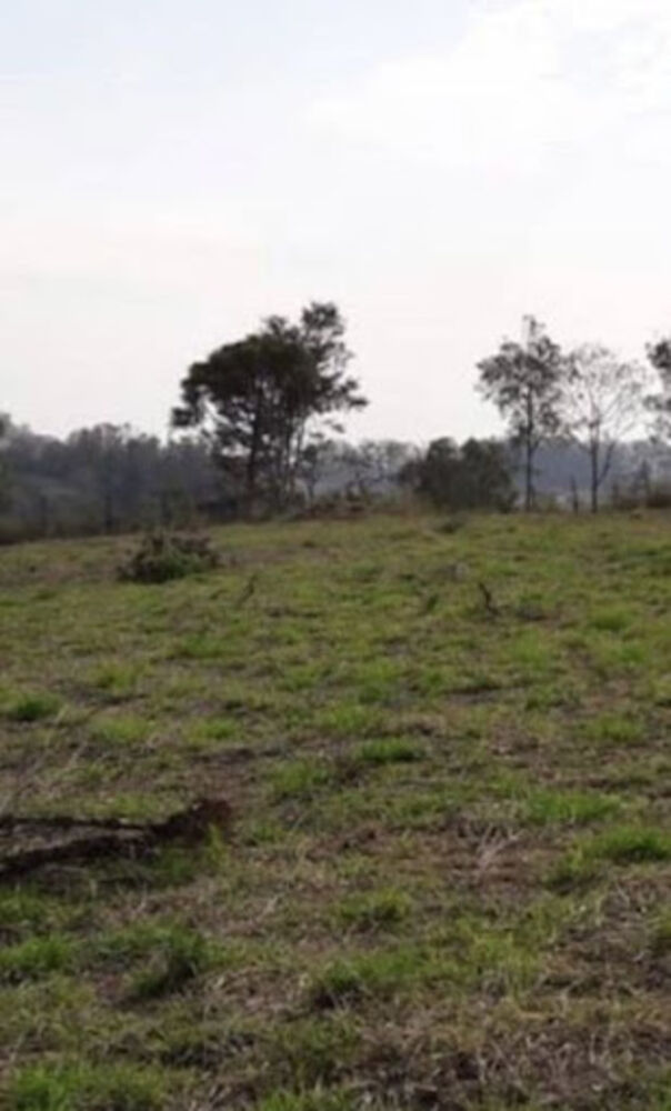 Terreno, 5000 m² - Foto 2