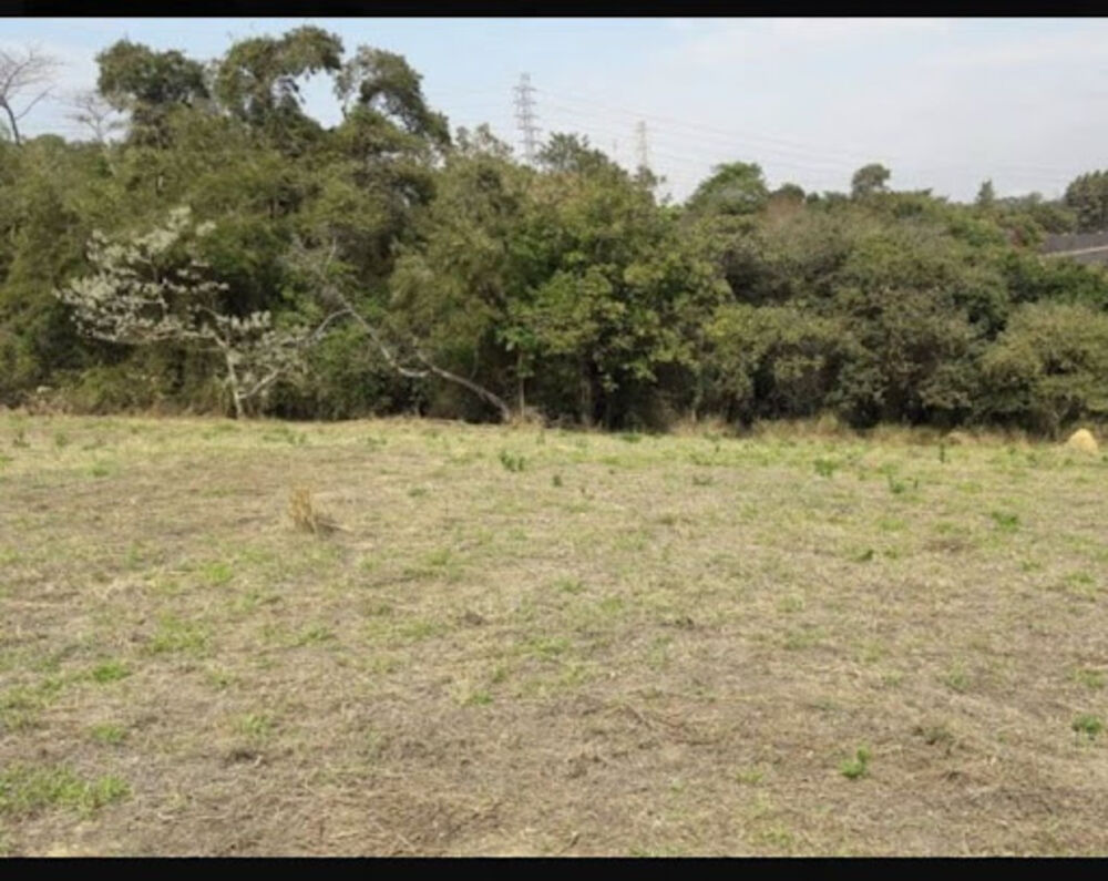 Terreno, 5000 m² - Foto 1