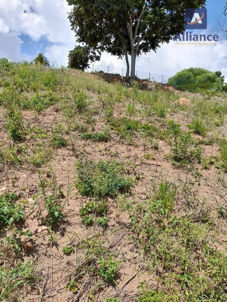 Terreno, 2330 m² - Foto 2