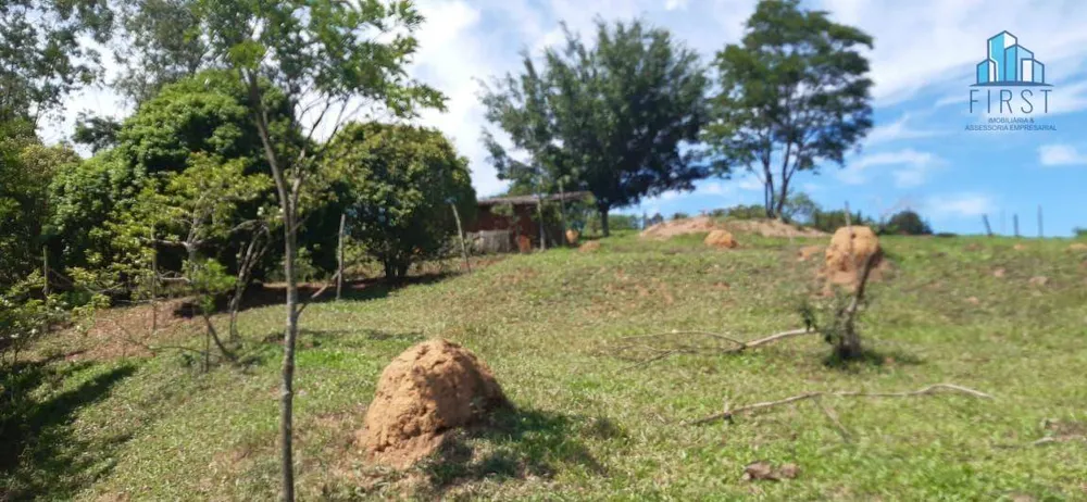Terreno, 4 hectares - Foto 3