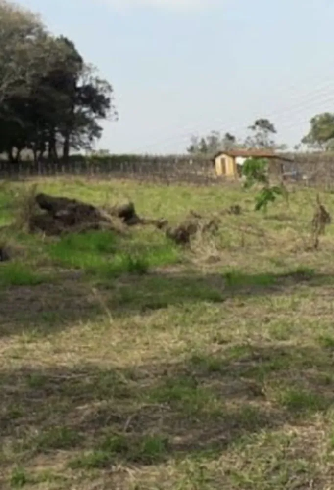 Terreno, 5000 m² - Foto 1