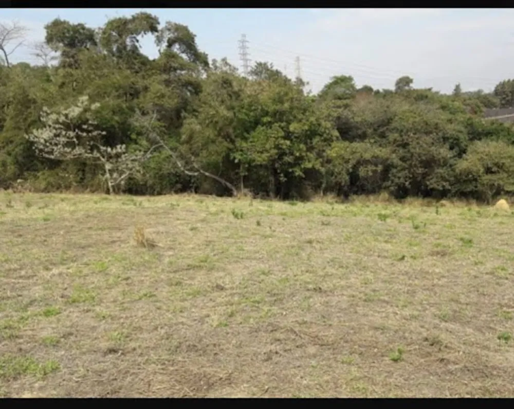 Terreno, 5000 m² - Foto 4