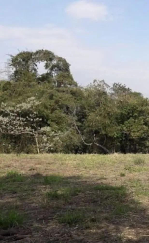 Terreno, 5000 m² - Foto 2