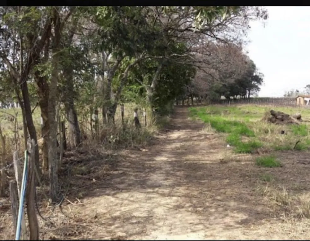 Terreno, 5000 m² - Foto 3