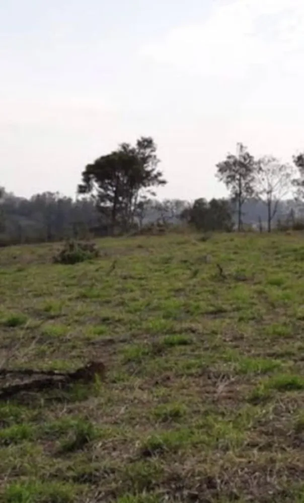 Terreno, 5000 m² - Foto 5