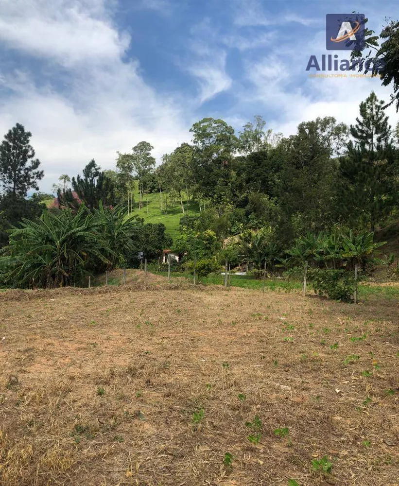 Sítio, 3 hectares - Foto 12