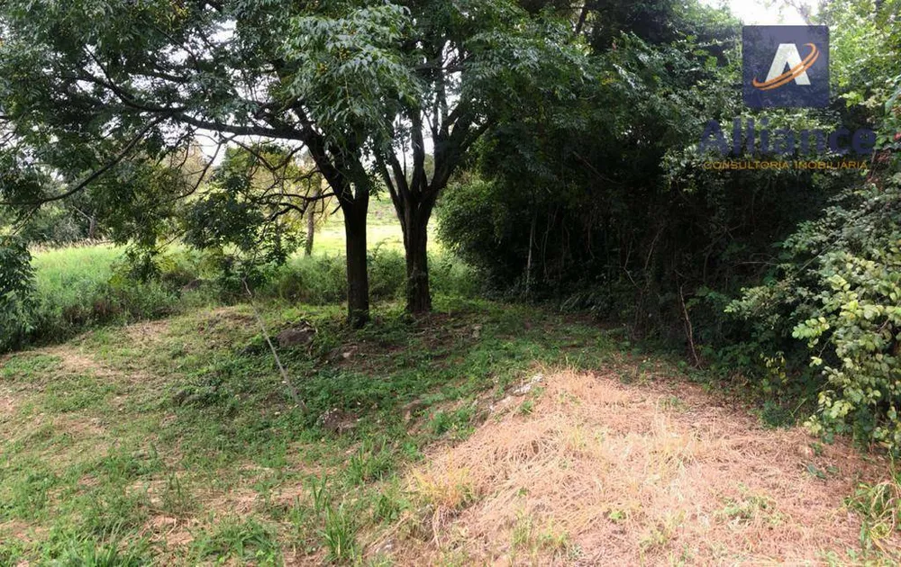 Sítio, 3 hectares - Foto 4