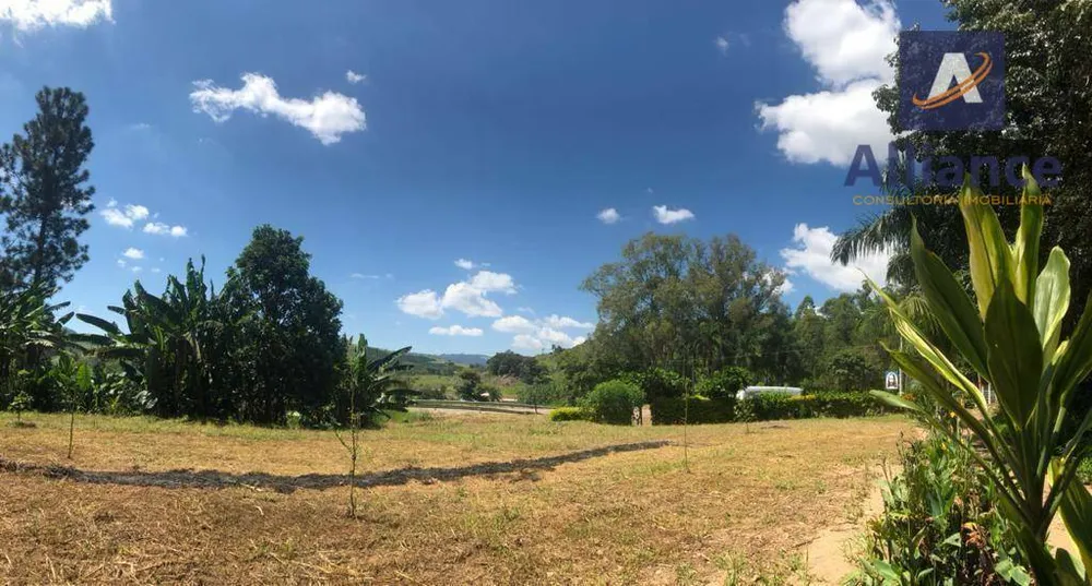 Sítio, 3 hectares - Foto 8