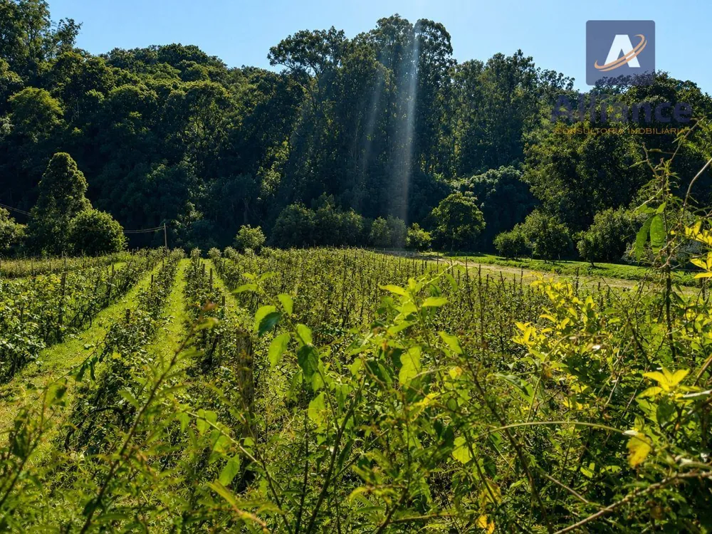 Terreno, 1632 m² - Foto 4