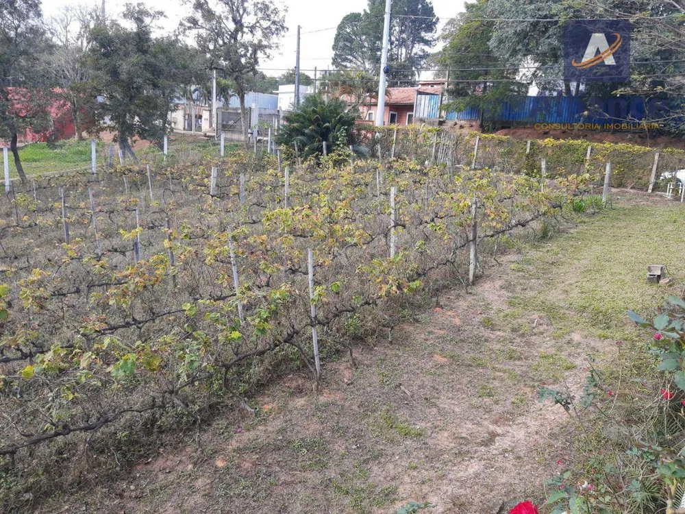 Terreno, 1632 m² - Foto 6