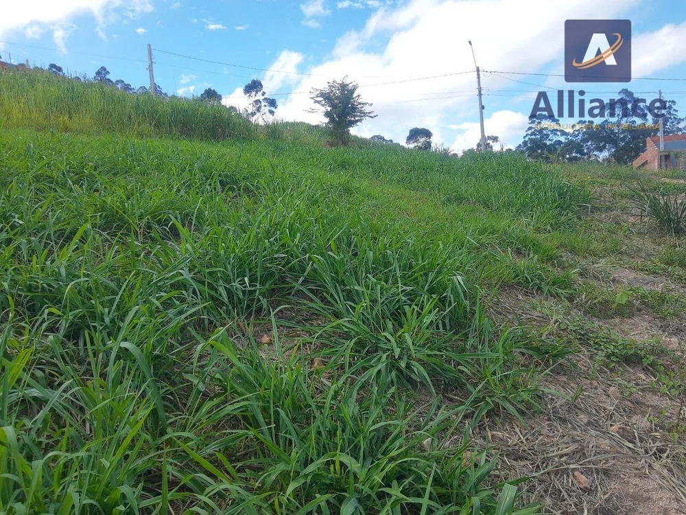 Terreno, 250 m² - Foto 5