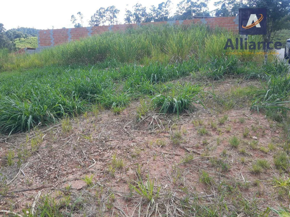 Terreno, 250 m² - Foto 2