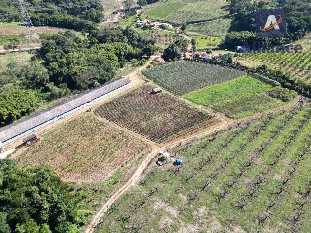 Terreno, 3 hectares - Foto 3