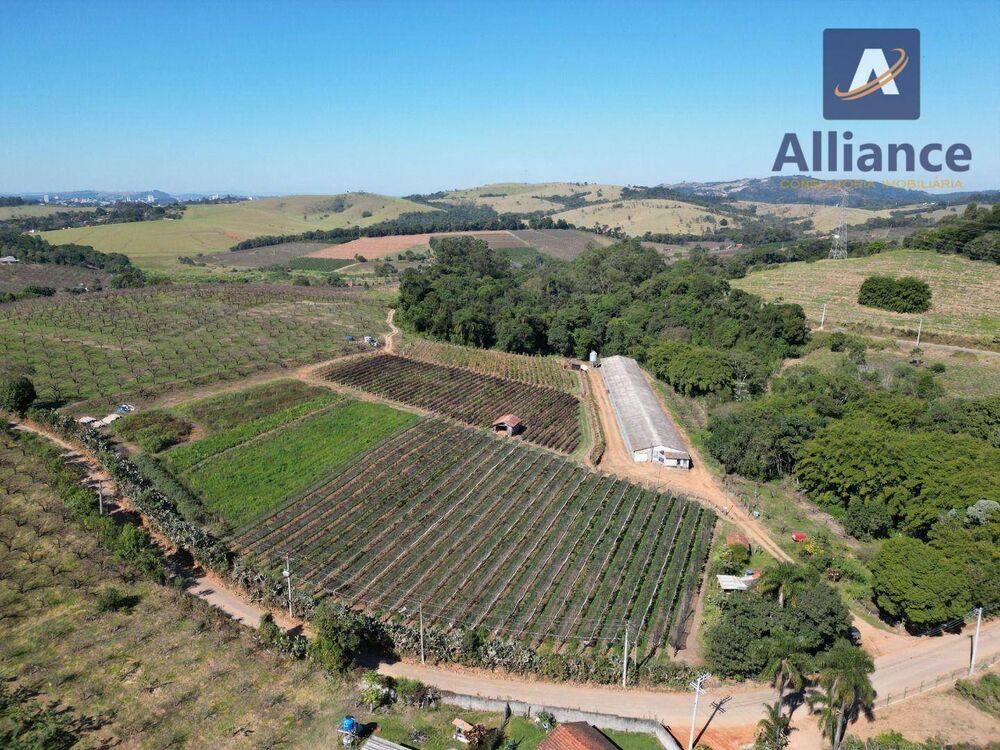 Terreno, 3 hectares - Foto 2