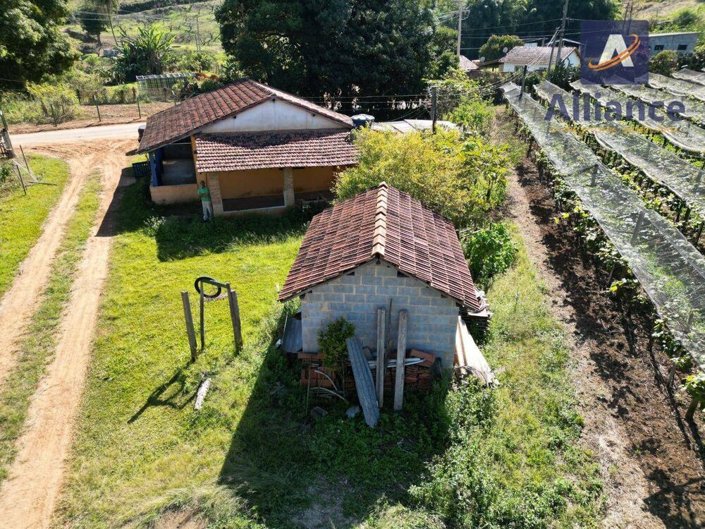 Terreno, 3 hectares - Foto 4