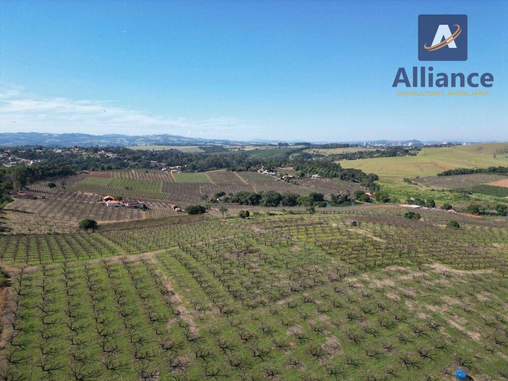 Terreno, 3 hectares - Foto 6