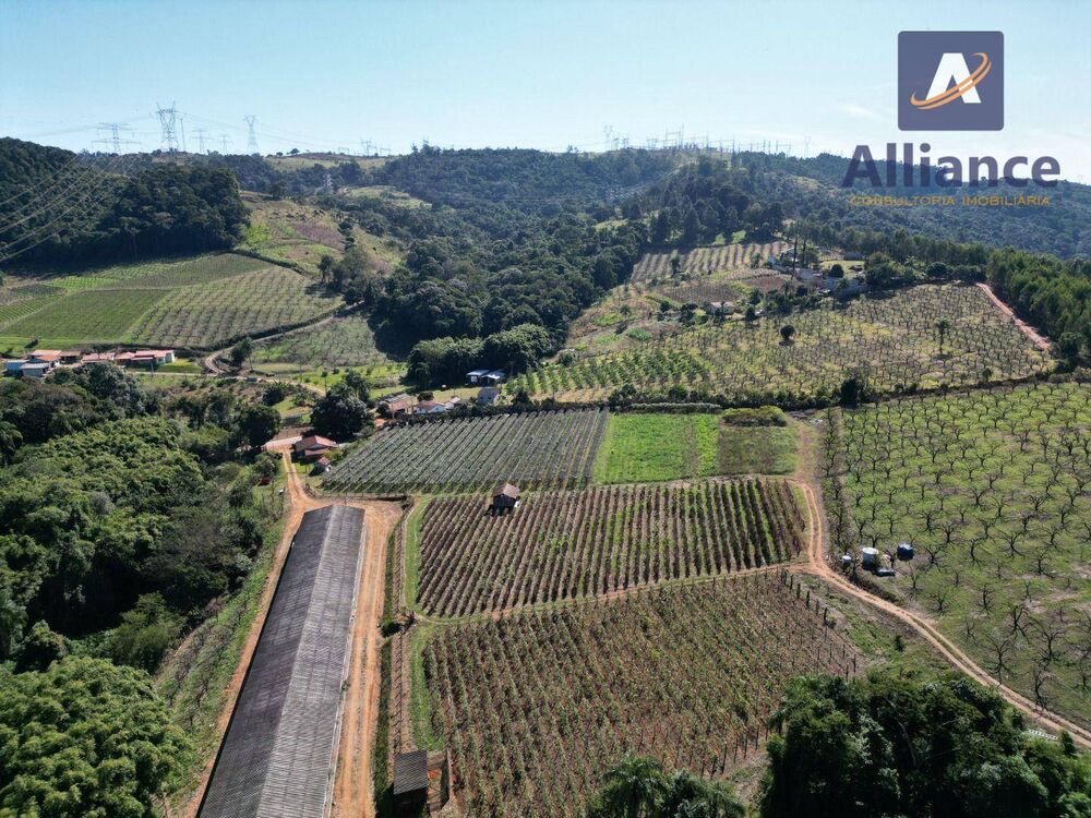 Terreno, 3 hectares - Foto 5