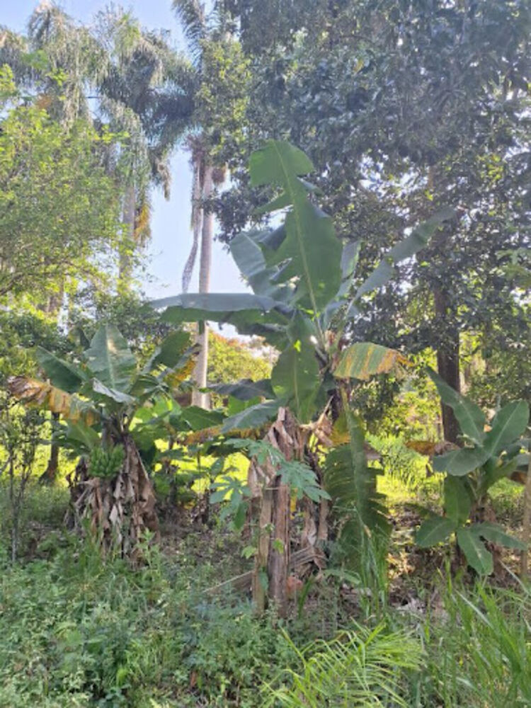 Terreno, 1 m² - Foto 4