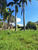 Terreno, 1 m² - Foto 1