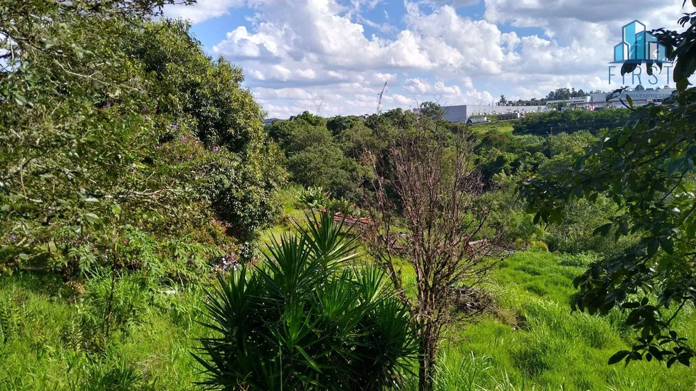 Terreno, 5 hectares - Foto 7
