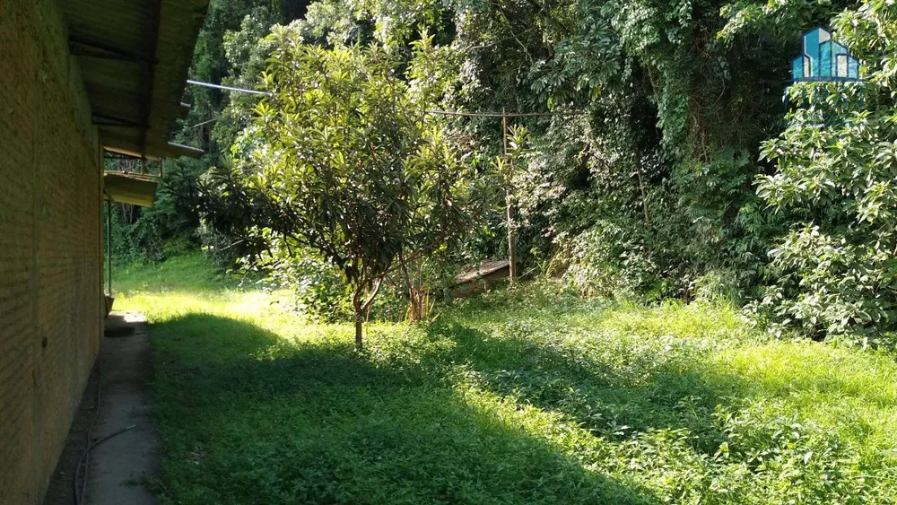 Terreno, 5 hectares - Foto 15