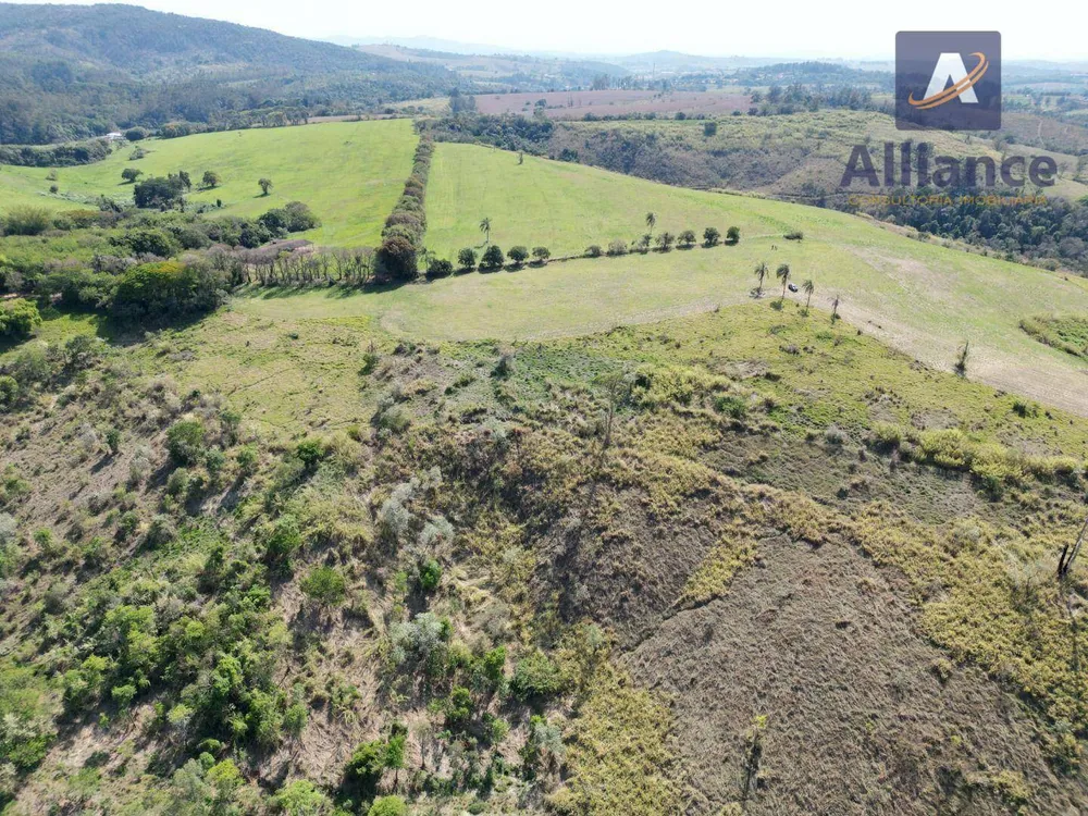Terreno, 91 hectares - Foto 4