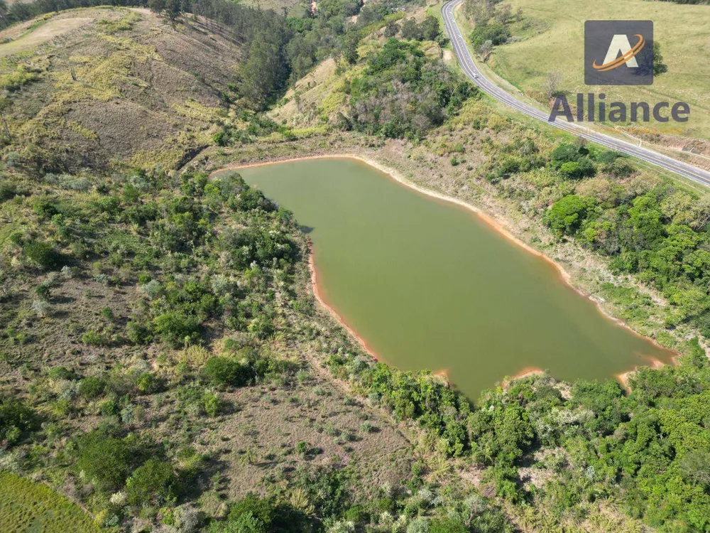 Terreno, 91 hectares - Foto 6