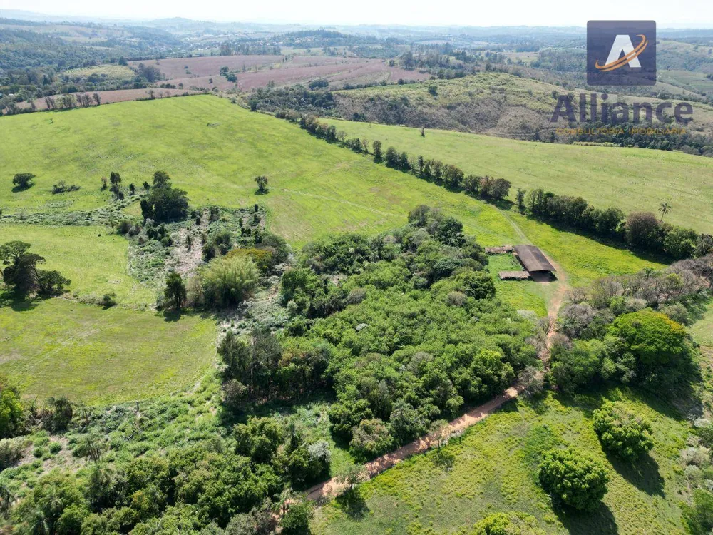 Terreno, 91 hectares - Foto 8